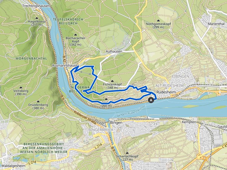Niederwalddenkmal Blick auf Rüdesheim am Rhein Runde von Rüdesheim am